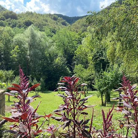 Вилла лъките Divchovoto