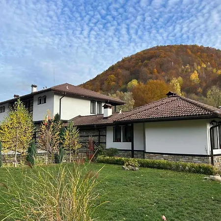 лъките * Divchovoto