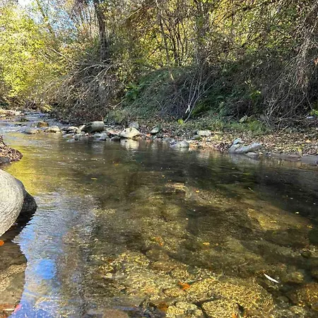 Вилла лъките