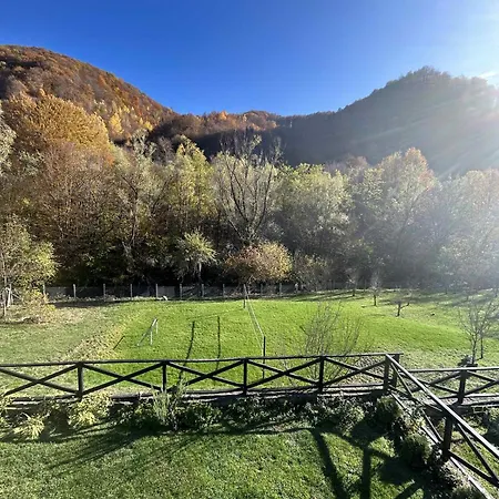 лъките * Divchovoto