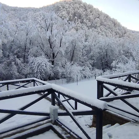 Вилла лъките *