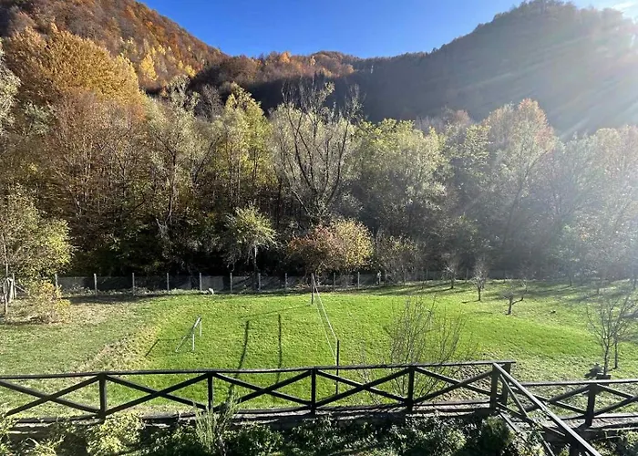 лъките * Divchovoto